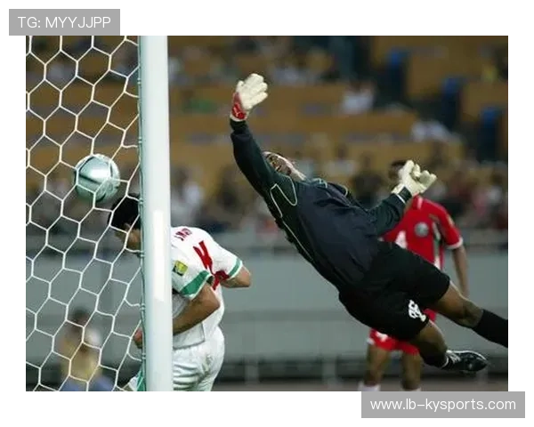 伊朗门将创下冬奥扑救纪录，伊朗奥运项目